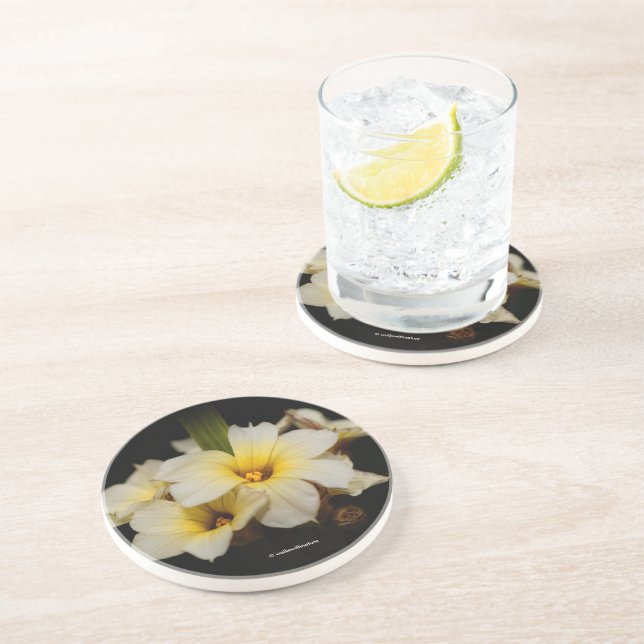 Vackra Satin Flowers på Black Underlägg (Sidan)