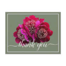 Vackra scharlakansröda pioner Färg bakgrund Tack