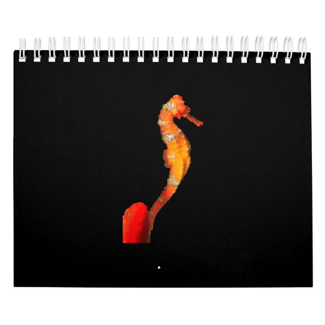 Vackra Seahorse Figur framifrån Kalender (Omslag)