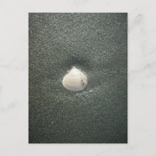 Vackra Seashell i Sand: A Salty Souvenir Vykort