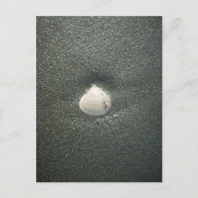 Vackra Seashell i Sand: A Salty Souvenir Vykort (Framsida)