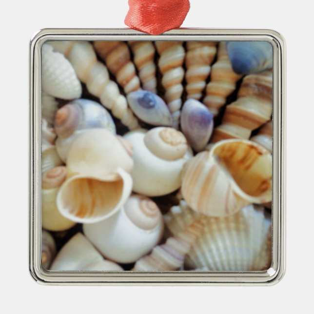 Vackra Seashells, Sommar, Beach, Snäckor Julgransprydnad Metall (Framsidan)
