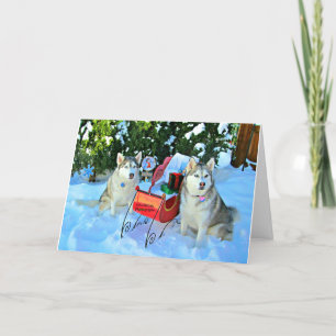 Vackra Siberian husky i snö Helgkort