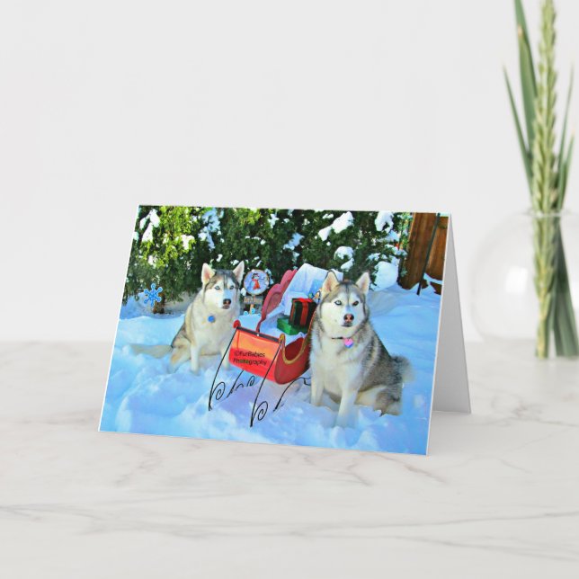 Vackra Siberian husky i snö Helgkort (Framsida)