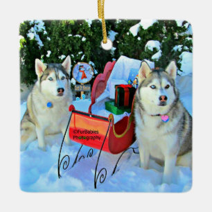 Vackra Siberian husky Julgransprydnad Keramik