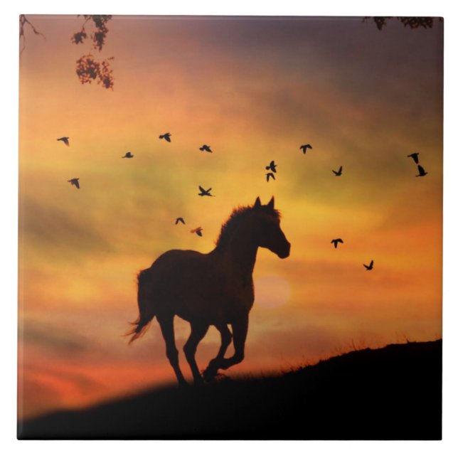 Vackra Sihouetted Horse i Sunrise Kakelplatta (Framsidan)