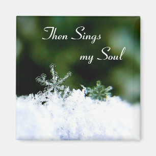 Vackra Sjungor min Soul Winter Snowflake Magnet