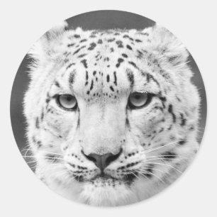 Vackra Snö Leopard Black och White Porträtt Runt Klistermärke