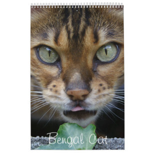 Vackra, snygga, bengalkatter 2025 kalender