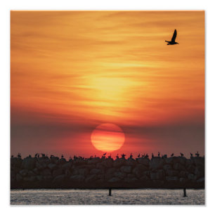 Vackra solnedgångsfärger - Marina Del Rey, CA Fototryck