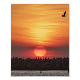 Vackra solnedgångsfärger - Marina Del Rey, CA Fototryck