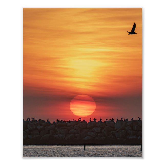 Vackra solnedgångsfärger - Marina Del Rey, CA Fototryck (Framsidan)