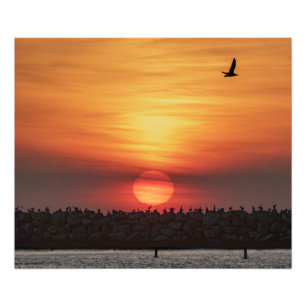 Vackra solnedgångsfärger - Marina Del Rey, CA Fototryck