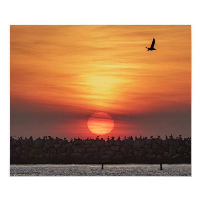Vackra solnedgångsfärger - Marina Del Rey, CA Fototryck (Framsidan)