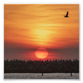 Vackra solnedgångsfärger - Marina Del Rey, CA Fototryck