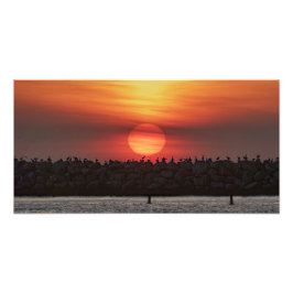 Vackra solnedgångsfärger - Marina Del Rey, CA Fototryck