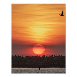Vackra solnedgångsfärger - Marina Del Rey, CA Fototryck