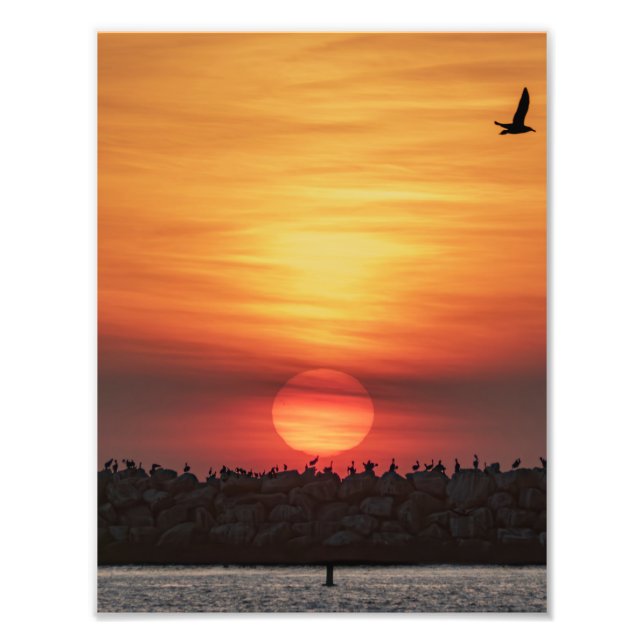 Vackra solnedgångsfärger - Marina Del Rey, CA Fototryck (Framsidan)