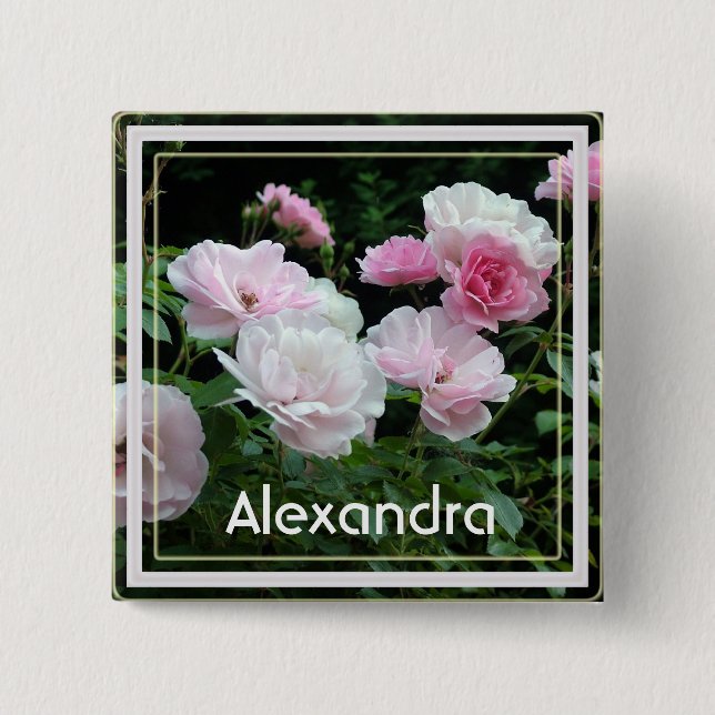 Vackra sommar rosa ros blommor namn stift knapp (Framsida)