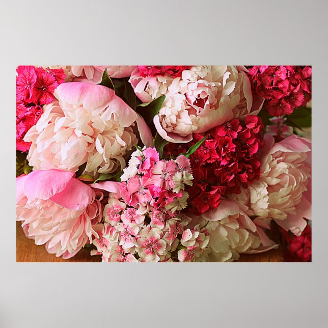 Vackra sommarblommor. Rosa peony och Poster (Framsidan)