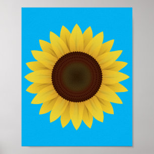 Vackra sommarsolrosor Poster