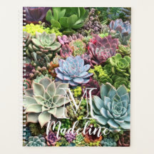 Vackra Succulents