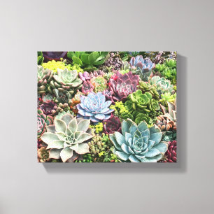 Vackra Succulents Canvastryck