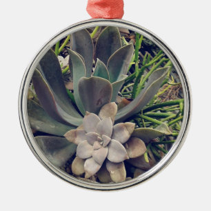Vackra Succulents Julgransprydnad Metall