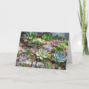 Vackra Succulents Kort