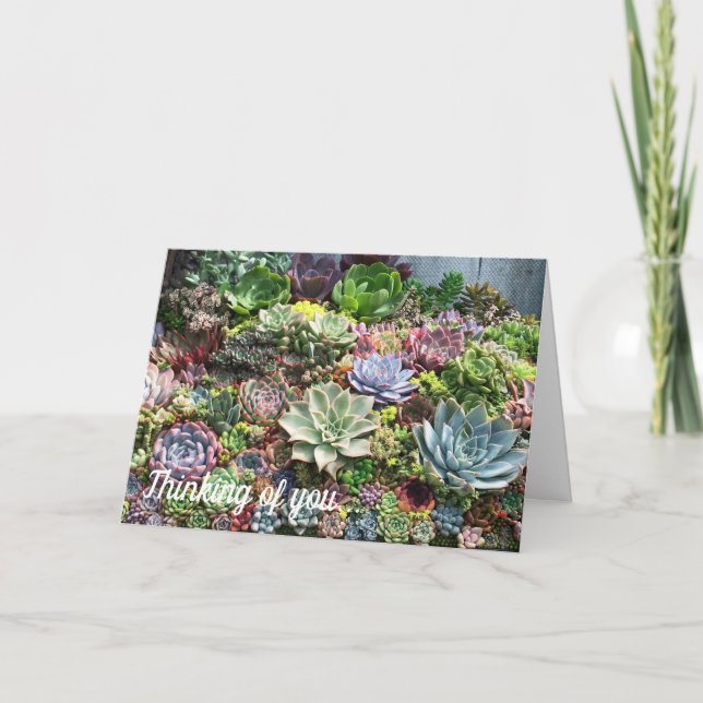 Vackra Succulents Kort (Framsida)