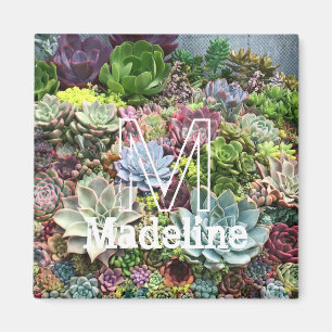 Vackra Succulents Magnet