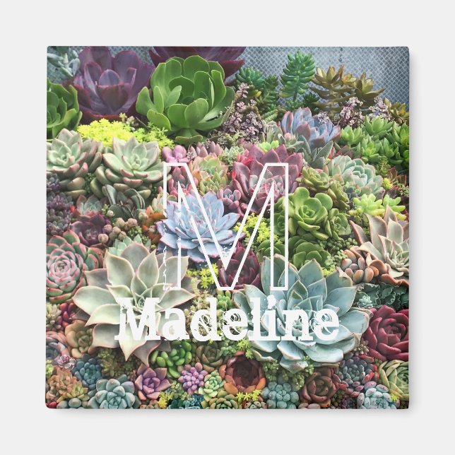 Vackra Succulents Magnet (Framsidan)