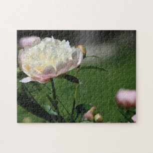 Vackra Summertime White och Rosa Peony Flowers Pussel