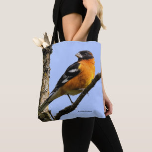 Vackra, svart-udda Grosbeak i Träd Tygkasse