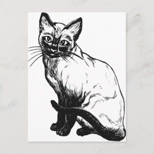 Vackra svarta och vita bilder - siamesisk katt vykort