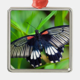 Vackra svarta, vita och röda fjäril julgransprydnad metall