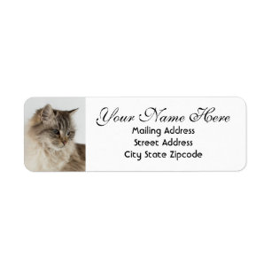 Vackra Tabby katt-Returadressen Returadress Etikett