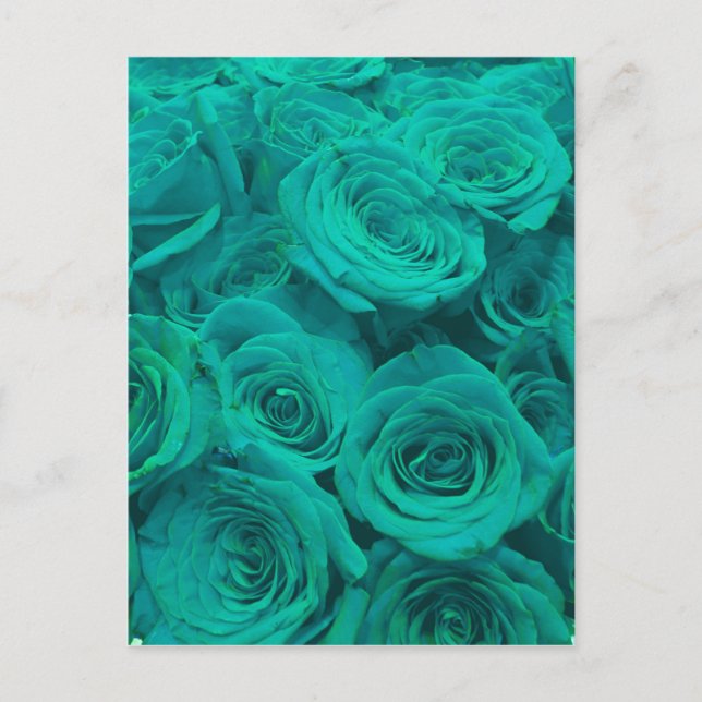 Vackra tealgröna rosor tealblommor  vykort (Framsida)