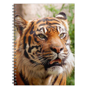 Vackra tiger ansikte anteckningsbok med spiral
