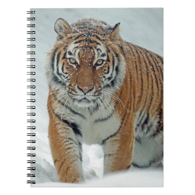 Vackra tiger i Snö Anteckningsbok (Framsidan)