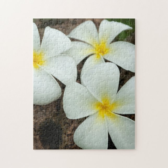 Vackra tropiska blommor i södra Stilla havet Pussel (Vertikal)