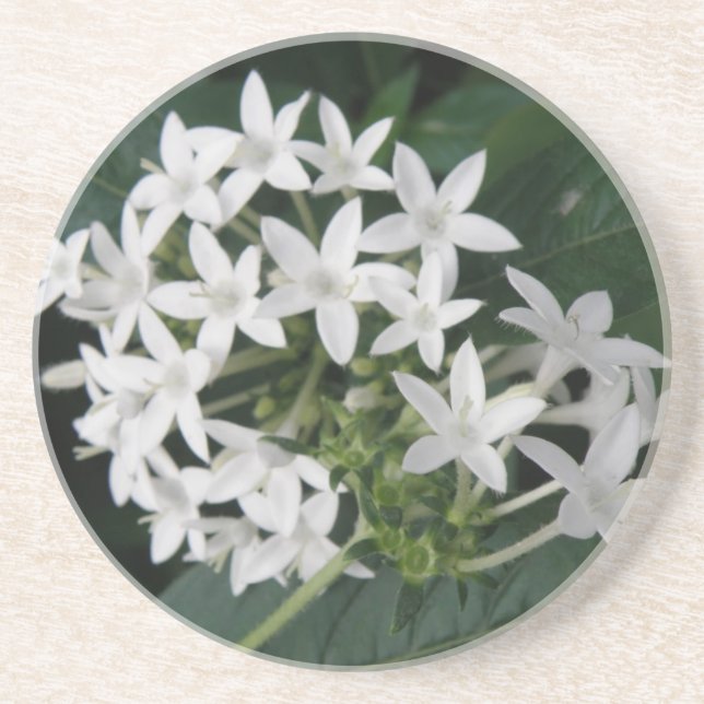 Vackra tropiska blommor Underlägg (Framsidan)