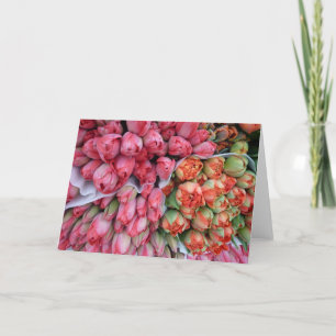 Vackra tulippar i Frankrike med GREETARD-kort Kort