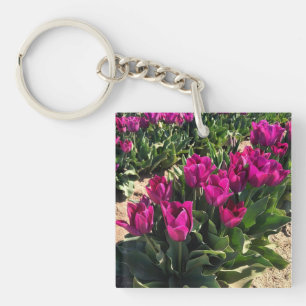 Vackra Tulips