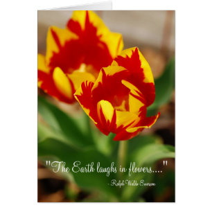 Vackra Tulips Hälsningskort