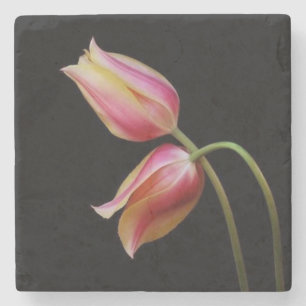 Vackra Tulips Stenunderlägg