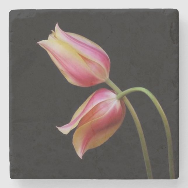 Vackra Tulips Stenunderlägg (Framsidan)