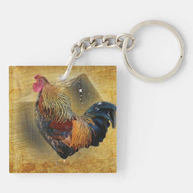 Vackra Tupp och Rustic Barn Chicken Coop (Baksidan)