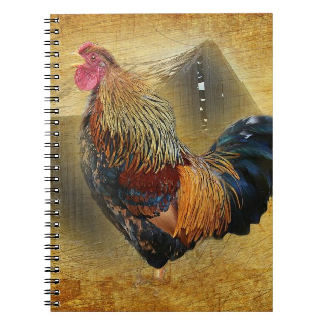 Vackra Tupp och Rustic Barn Chicken Coop Anteckningsbok (Framsidan)