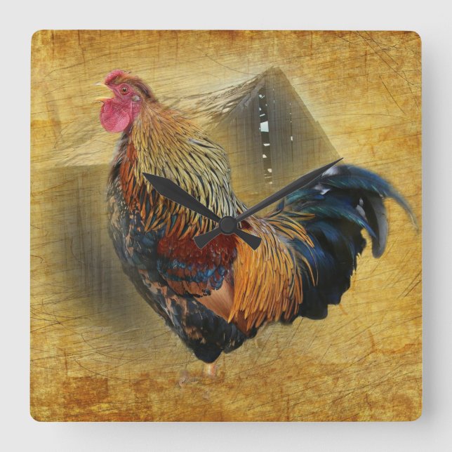 Vackra Tupp och Rustic Barn Chicken Coop Fyrkantig Klocka (Framsida)